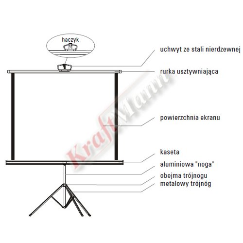 diploma-screen-8-1.jpg