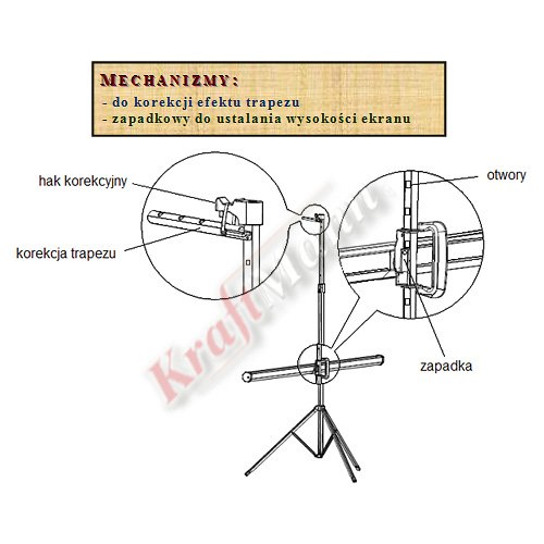 diploma-screen-dualtripod-10-1.jpg